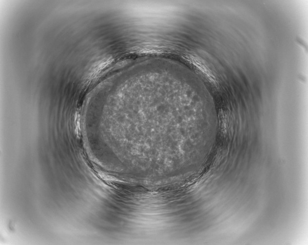 X0000093160692200710241020