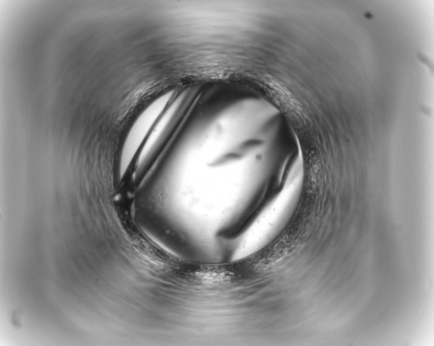 X0000093160693200710241020