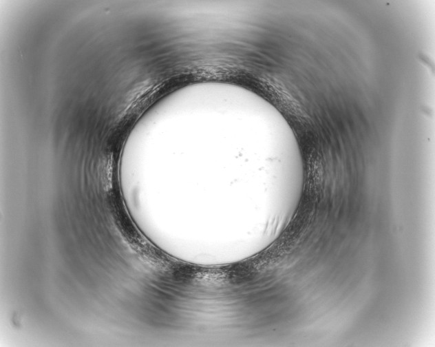 X0000093160694200710241020