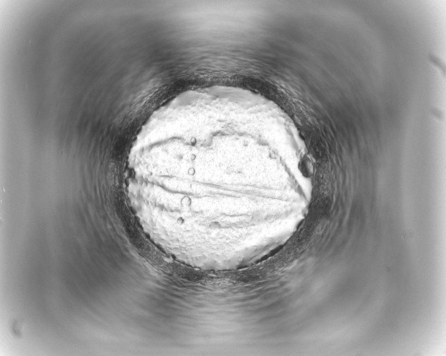 X0000093160695200710241020