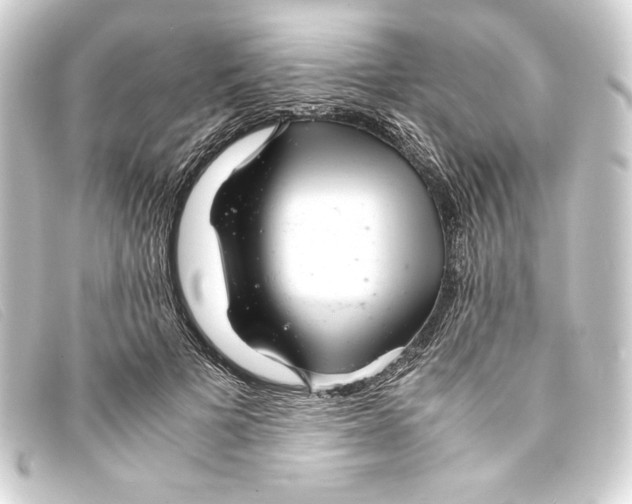 X0000093160697200710241020