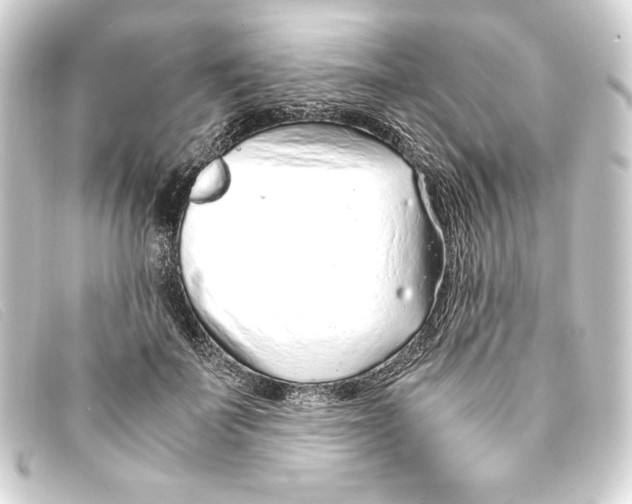 X0000093160699200710241020