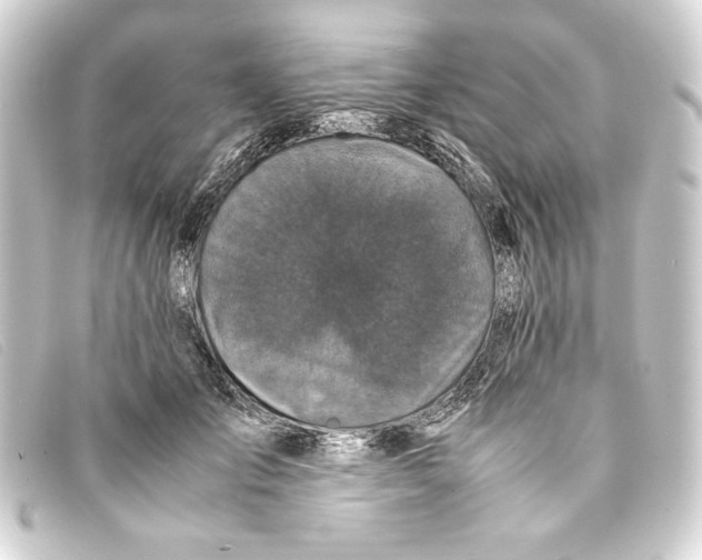 X0000093160701200710241020