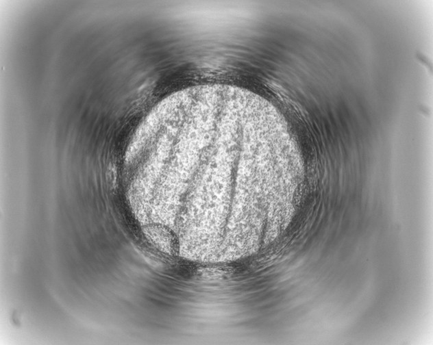 X0000093160703200710241020