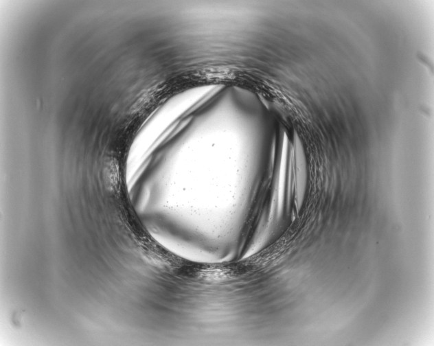 X0000093160704200710241020