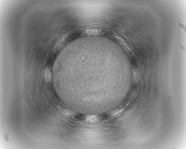 X0000093160705200710241020