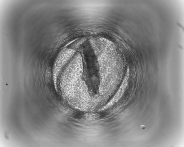 X0000093160707200710241020