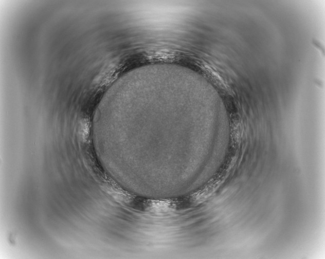 X0000093160709200710241020