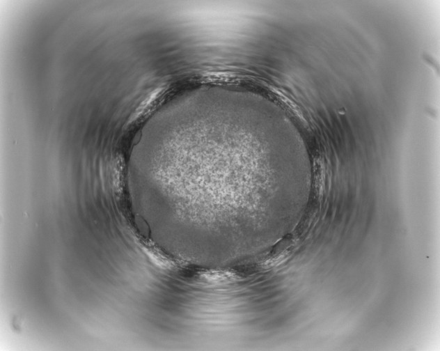 X0000093160712200710241020