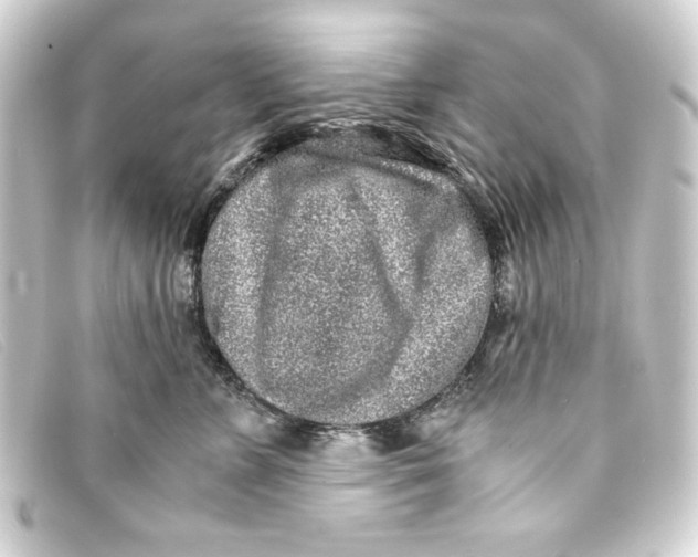 X0000093160715200710241020