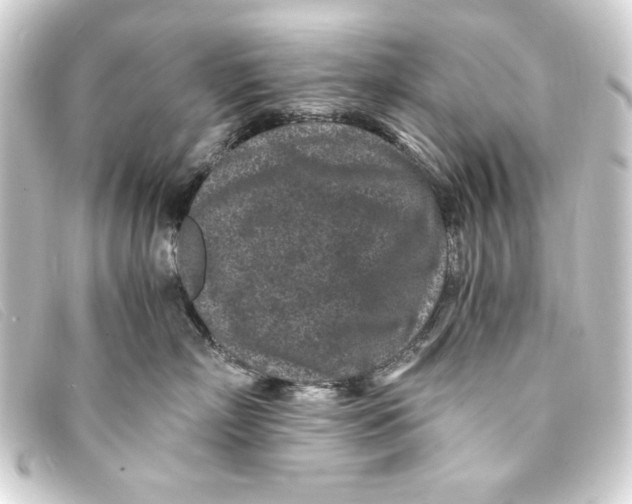 X0000093160718200710241020