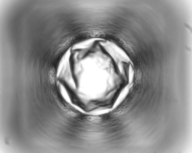 X0000093160719200710241020