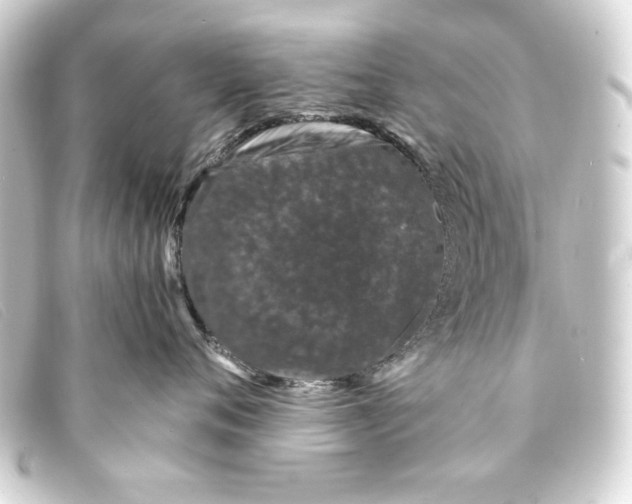 X0000093160720200710241020