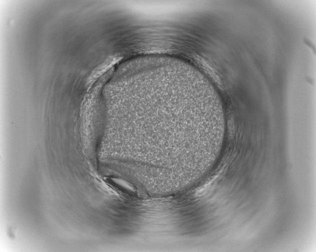 X0000093160721200710241019