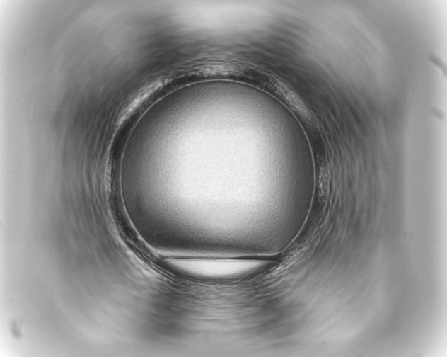X0000093160722200710241019