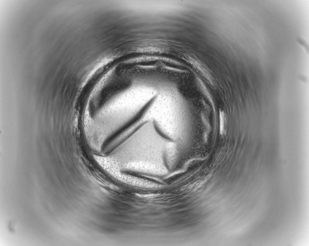 X0000093160723200710241019
