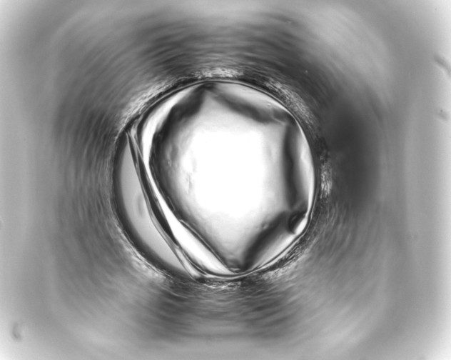 X0000093160725200710241019