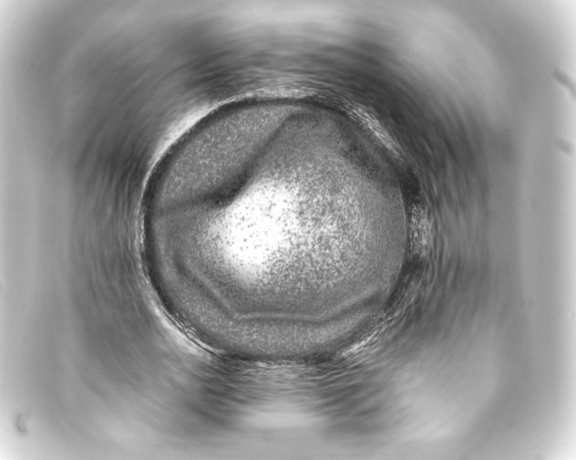 X0000093160726200710241019