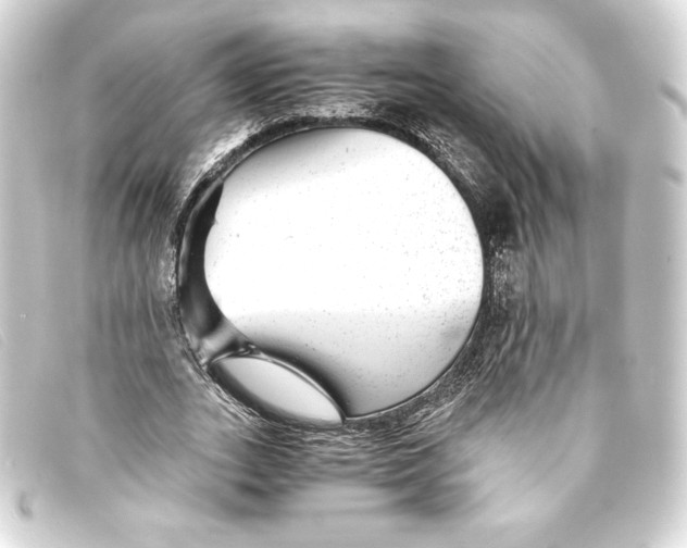 X0000093160727200710241019
