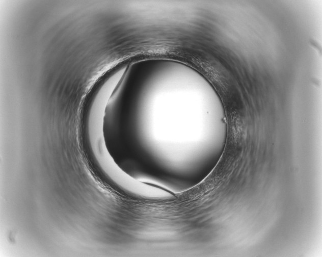 X0000093160728200710241019