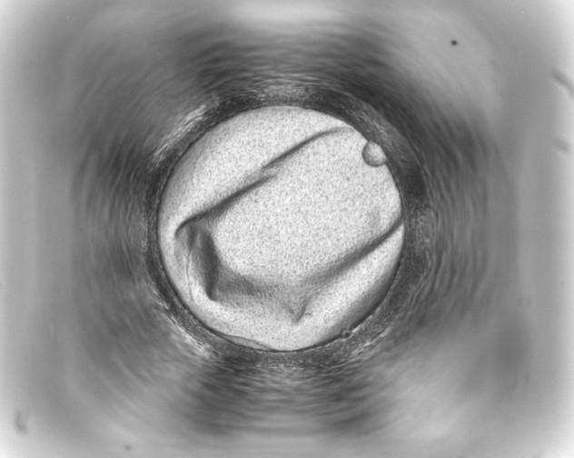 X0000093160729200710241019