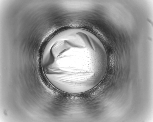 X0000093160730200710241019