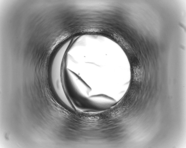 X0000093160731200710241019