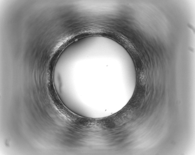X0000093160732200710241019