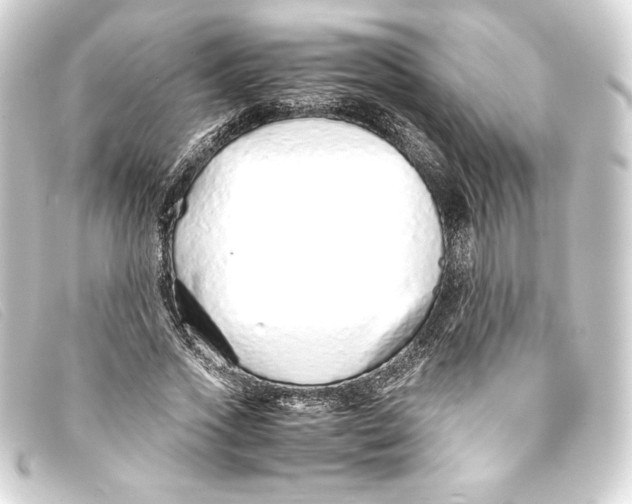 X0000093160733200710241019
