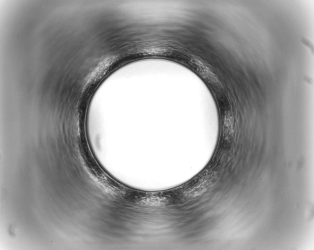 X0000093160734200710241019