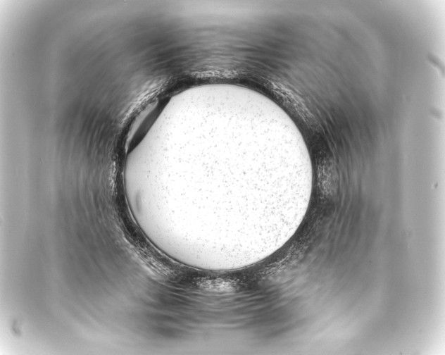 X0000093160735200710241019