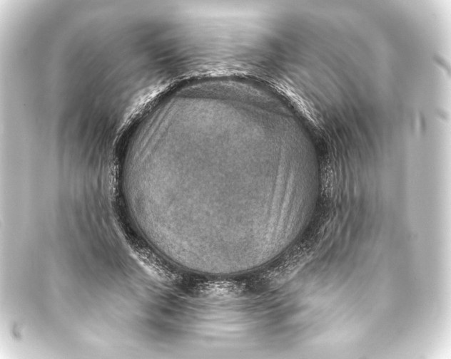 X0000093160736200710241019