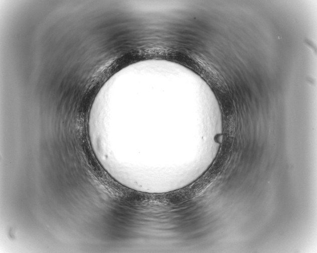 X0000093160737200710241020