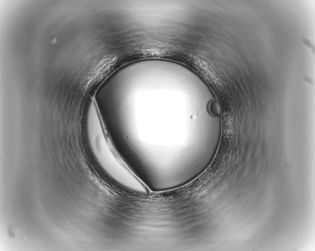 X0000093160738200710241020