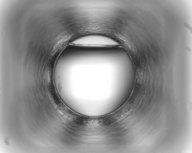 X0000093160740200710241020