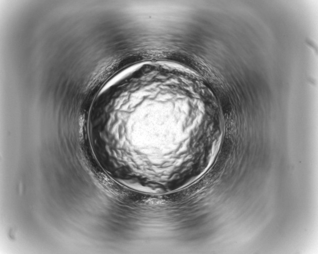X0000093160742200710241020
