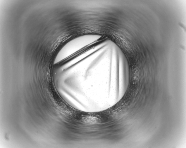 X0000093160743200710241020