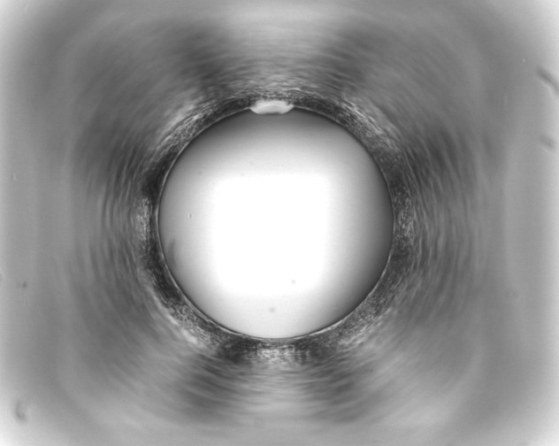 X0000093160744200710241020