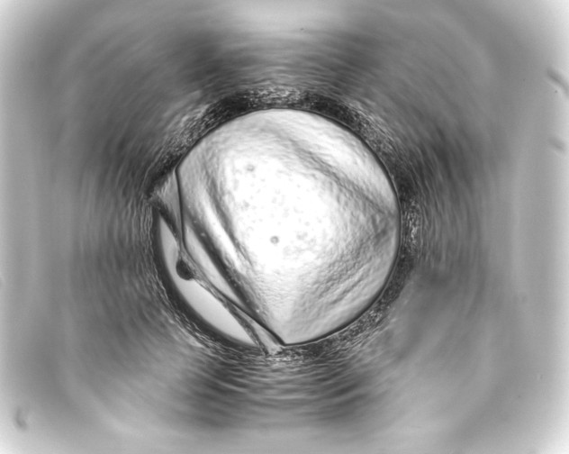 X0000093160745200710241020
