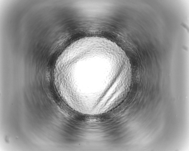 X0000093160746200710241020