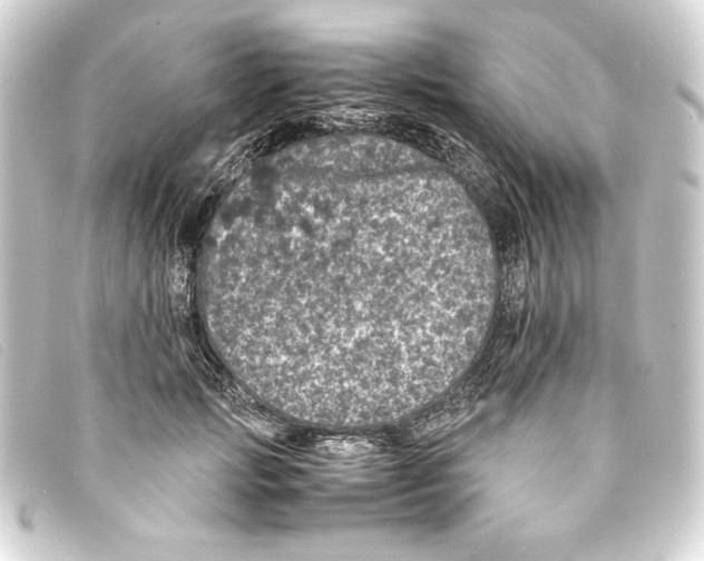 X0000093160749200710241020