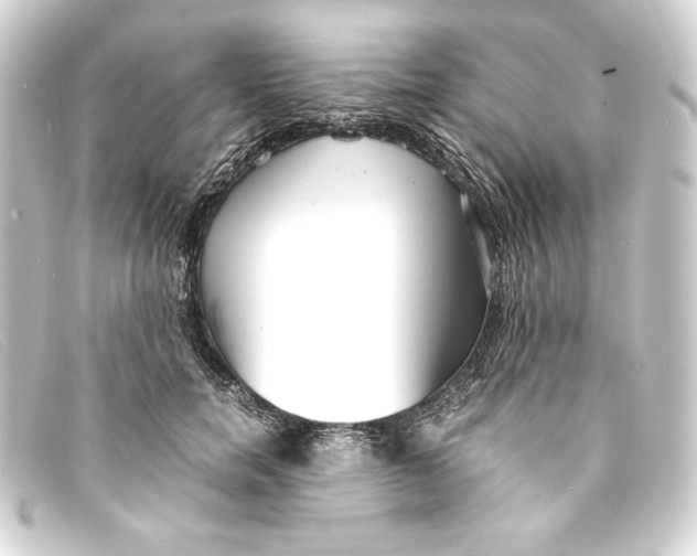 X0000093160750200710241020