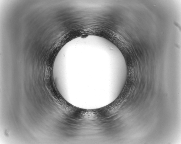 X0000093160751200710241020
