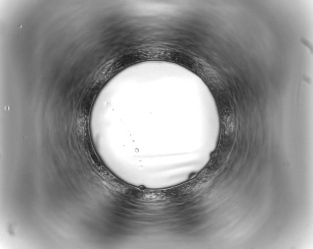 X0000093160753200710241020