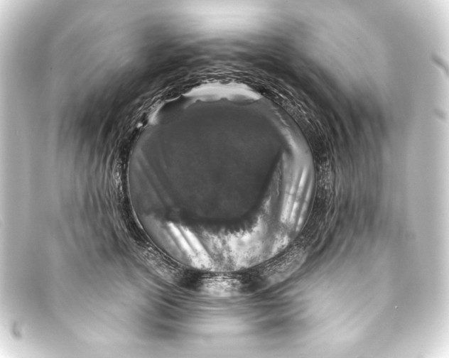X0000093160754200710241020