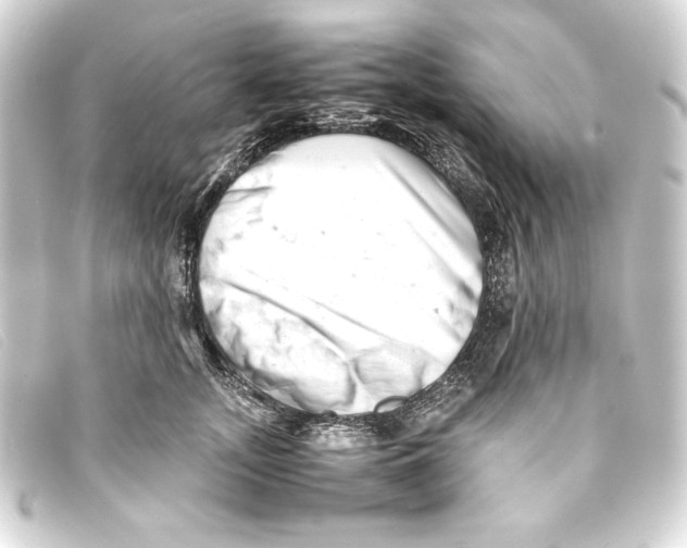 X0000093160755200710241020