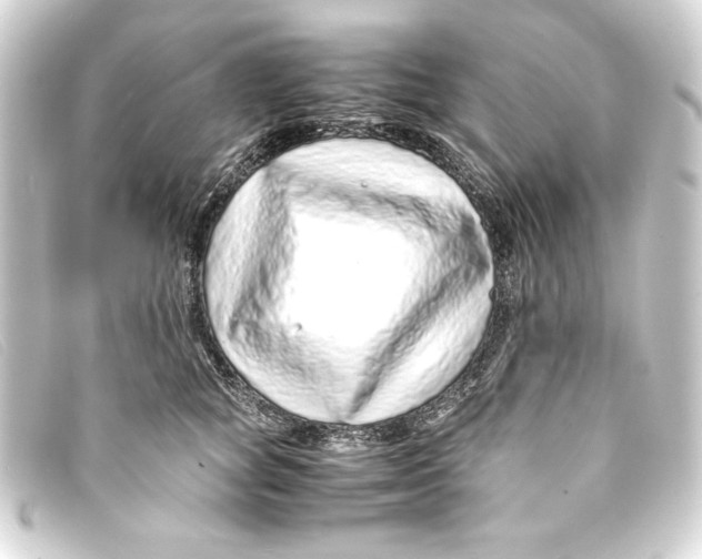 X0000093160757200710241020