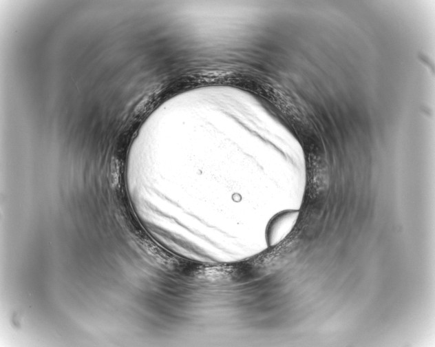 X0000093160758200710241020