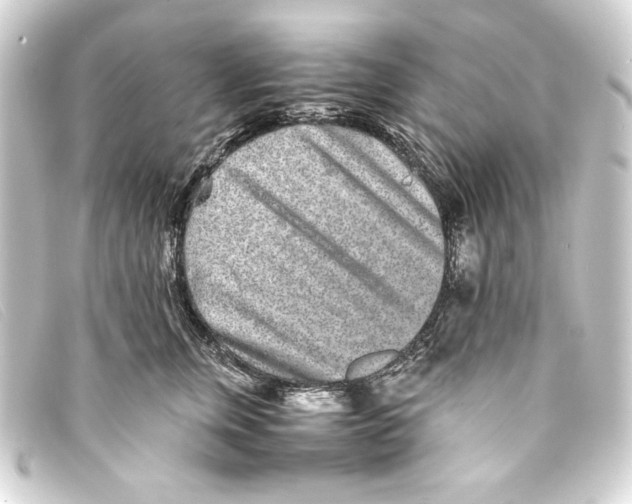 X0000093160759200710241020