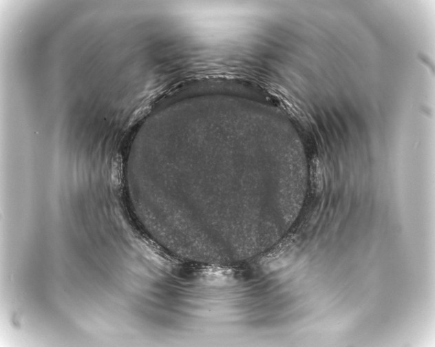 X0000093160760200710241020
